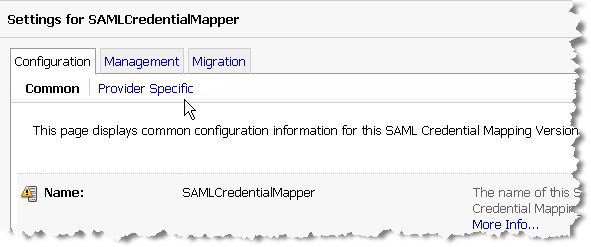 Selecting the Provider Specific Tab