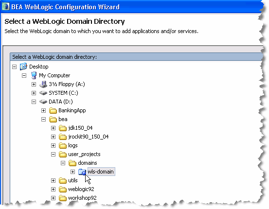 Select a Domain Directory