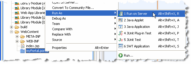 Selecting to Run the Portal on the Server