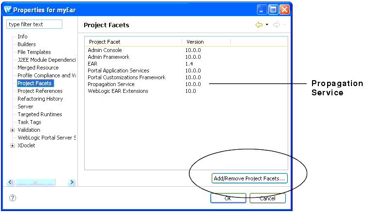 Checking the Propagation Service Facet