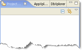 Project Explorer View