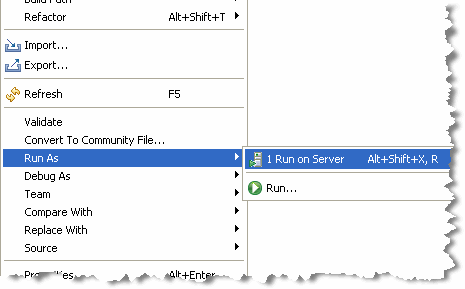 Selecting to Run the Portal on the Server