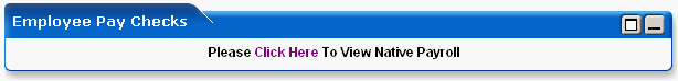 WebLogic Portlets for SAP HRMS - Employee Pay Checks Screen