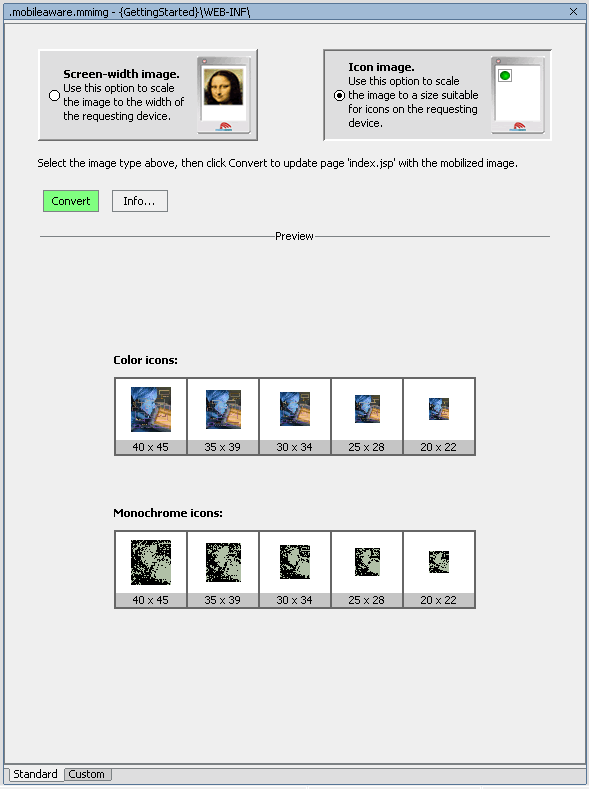 Image Conversion Setup - Standard Icon Preview 