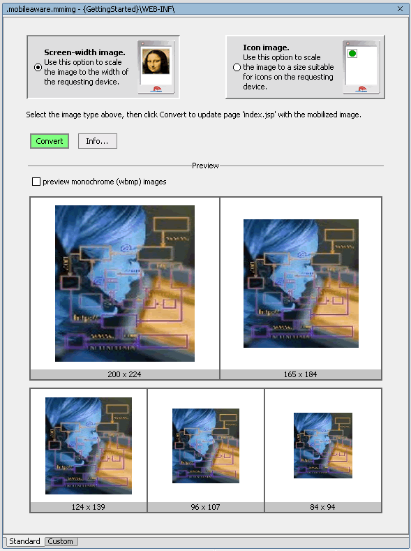 Image Conversion Setup - Standard Screen-width Preview 