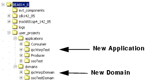 File System Showing New Domain and Applications