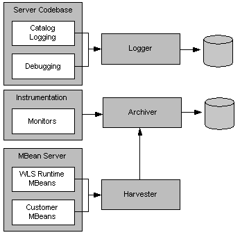 Relationship of Data Creation Components to Data Collection Components