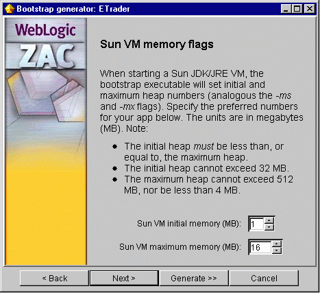 Setting the Sun VM memory flags