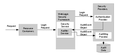 Auditing Process