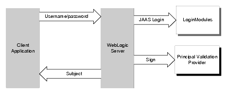 The Authentication Process