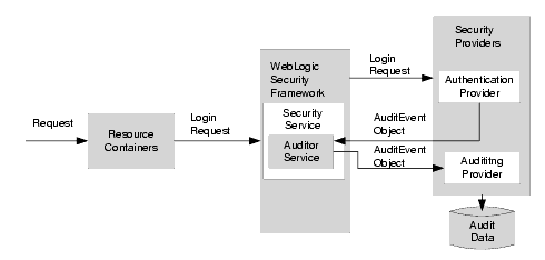 Auditing Process