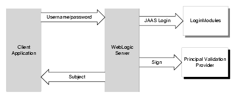 The Authentication Process