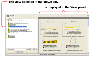 Views Tab and View Panel