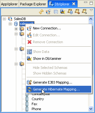 Select Generate Hibernate Mapping