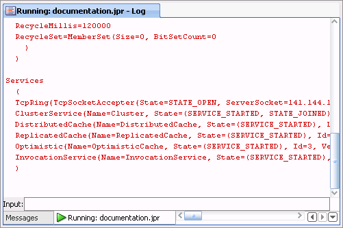 Log Output for a Cache Server Instance