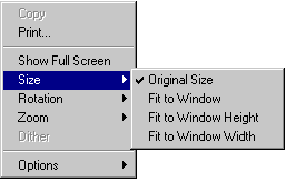 Screen image of default Size menu
