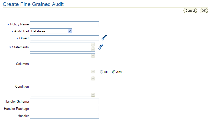 Create Fine Grained Audit page