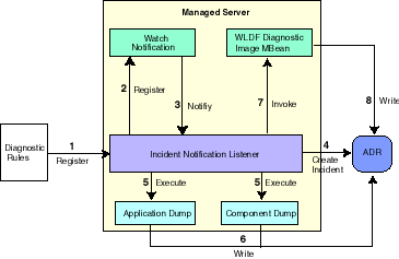 Description of Figure 12-3 follows