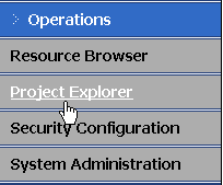 Project Explorer option
