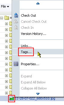 Tags command on a document context menu