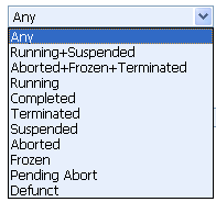 Process Instance Details 