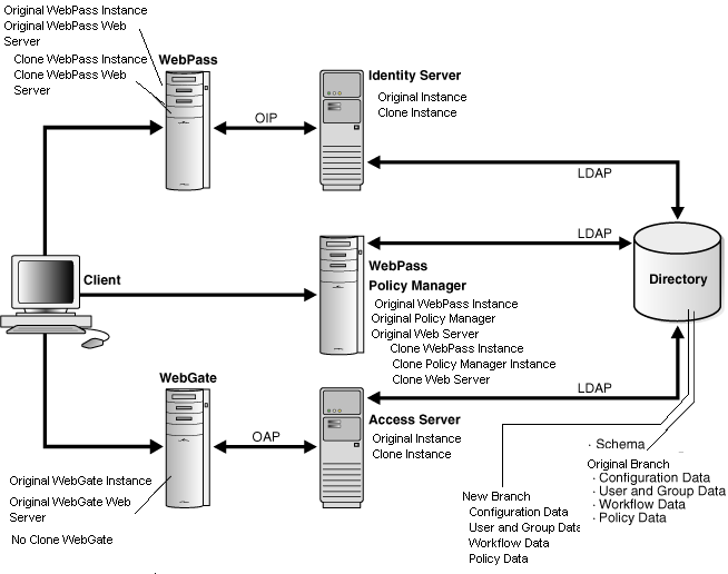 Original and Clone Instances in a Sample Installation