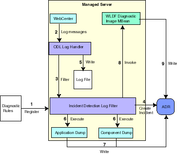 Description of Figure 12-2 follows