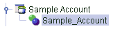 Sample Account node