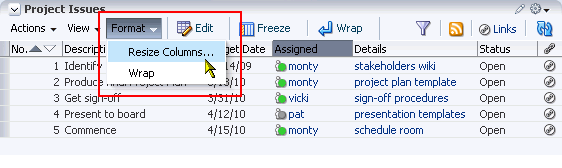 Resize Columns option on the Format menu