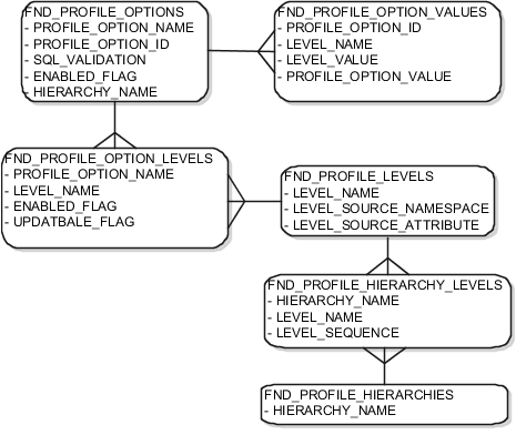Data model shows a profile option with
multiple profile option values and multiple profile option levels
defined. Each profile option level consists of a profile level hierarchy
definition.