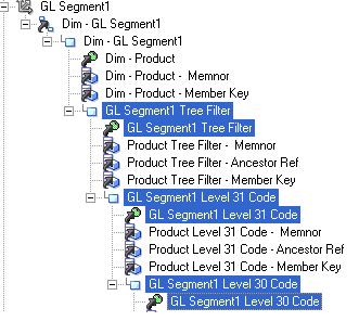 This screen shot shows renamed code attributes.