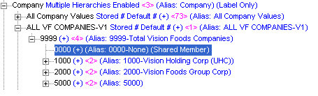 This screen shot displays an Essbase hierarchy with dimensions as shared members.