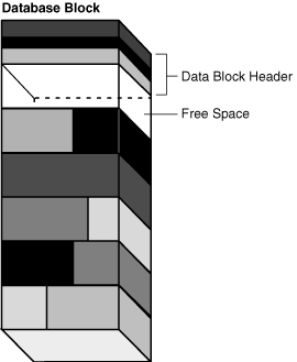 Description of Figure 12-11 follows