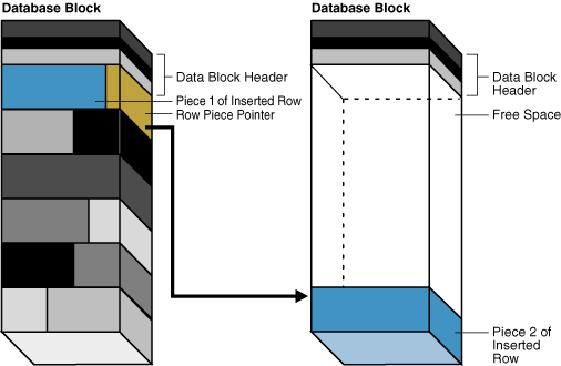 Description of Figure 12-14 follows