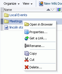 Folder Context Menu in Documents Task Flows