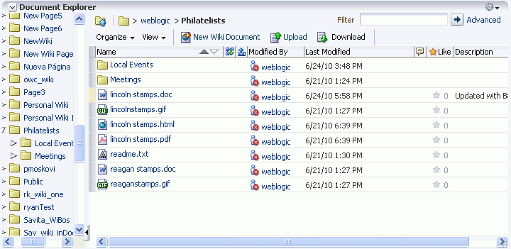 Document Explorer Task Flow