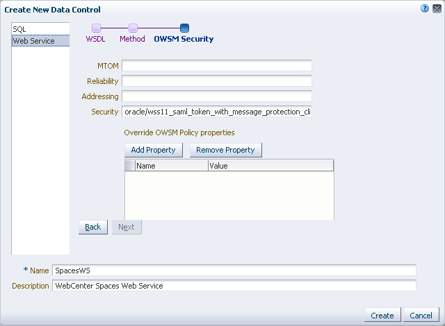 WebCenter Spaces Web Service Data Control - Security Page