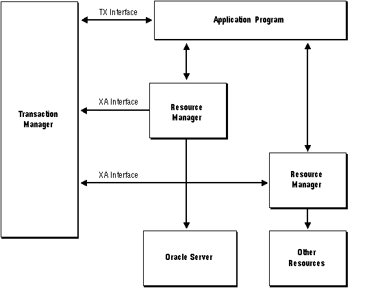 Hypothetical DTP Model