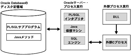 Oracle DatabaseƊOvV[W
