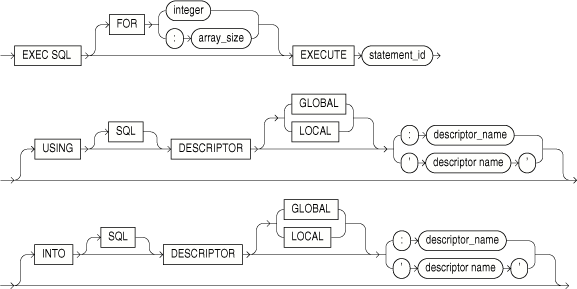 EXECUTE DESCRIPTOR