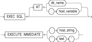 EXECUTE IMMEDIATE