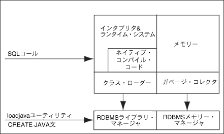 Oracle JVM̎vR|[lg
