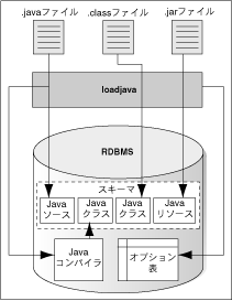 Oracle DatabaseւJavã[h
