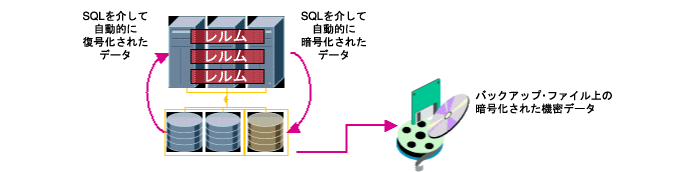 Íꂽf[^Oracle Database Vault