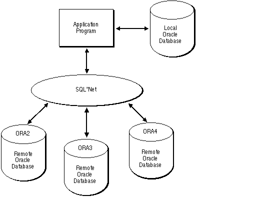 SQL Netを介した接続