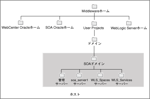 }2-8͎̐Q