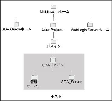 }2-6͎̐Q