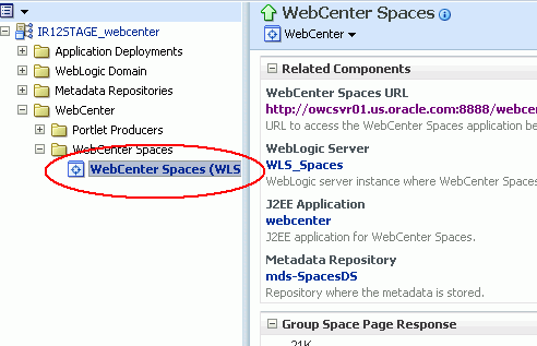 Navigating to the WebCenter Spaces Home Page