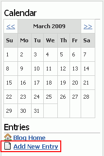 Add New Entry link