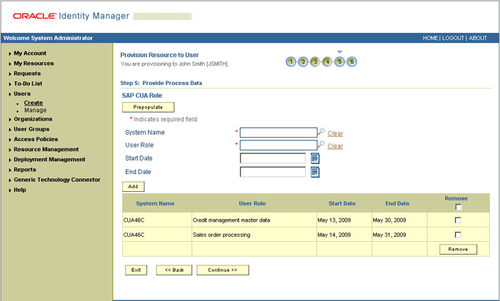 The Step 5: Provide Process Data page